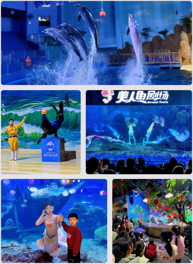 放春假・上春山 | 临沂景区宠粉「第四波」中小学生专享超多福利