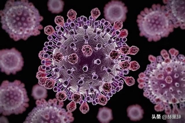 “尼帕病毒	”来势汹汹，呼吁：每家备好5样东西，关键时刻能救命