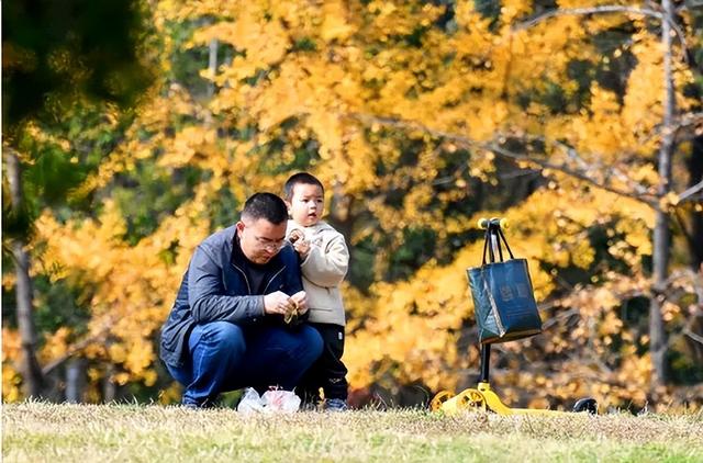 五彩斑斓的白龟湖国家湿地公园