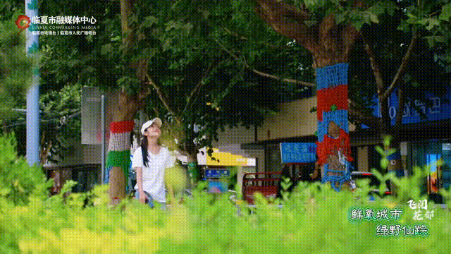 含氧量爆表！闯入花都临夏市的“绿野仙踪”，开启你的完美夏日～