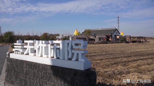 降温天寻暖好去处，奉贤李窑村特色茶舍成市民新宠