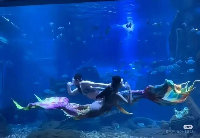 临沂太会玩了！你的短途出行计划，一键收藏