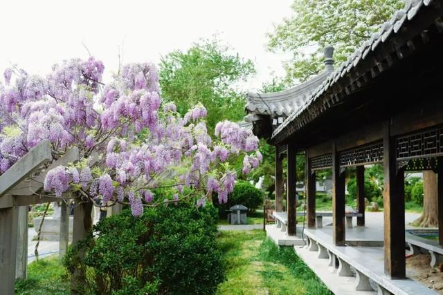 坐拥中国最牛县级博物馆，这座宝藏小城值得你马上出发