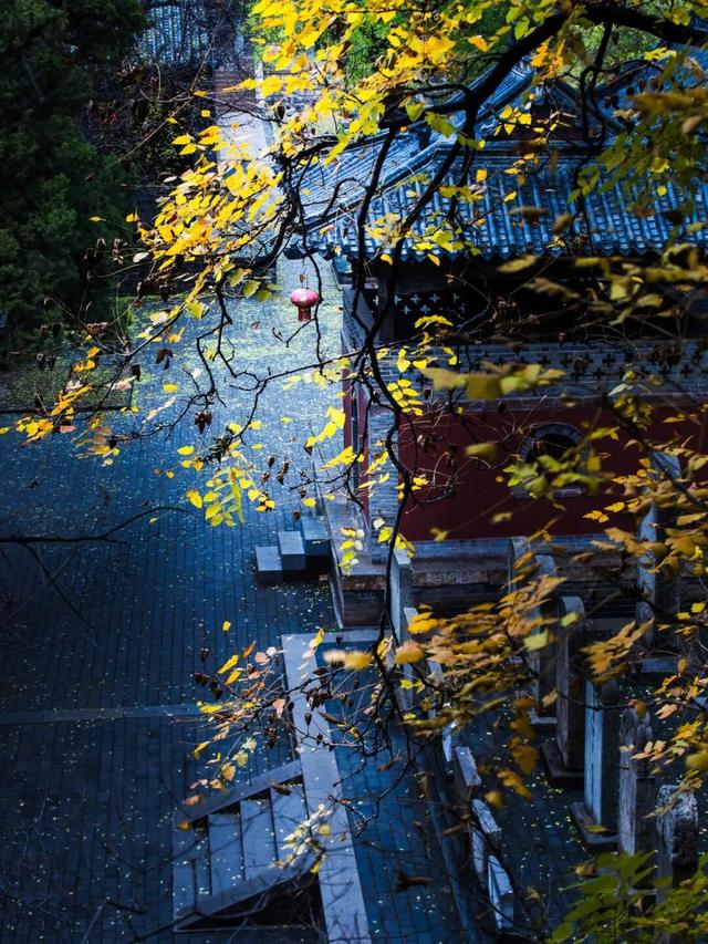 6城上榜！2025康养百强榜出炉，山东凭什么这么能打？