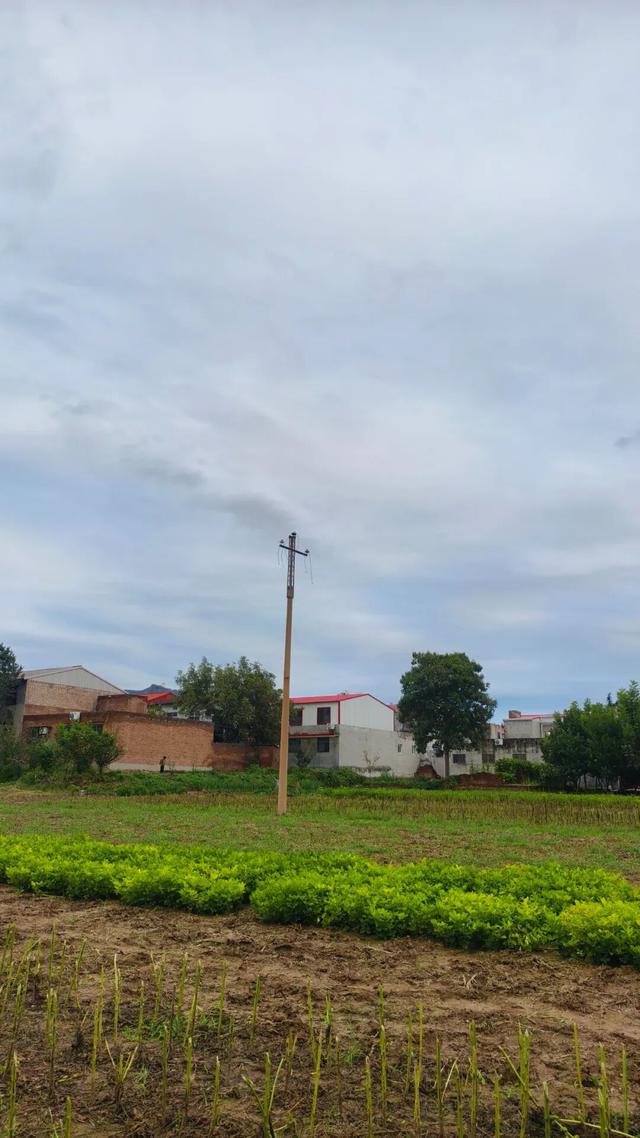 10月，「需要另一个同类」