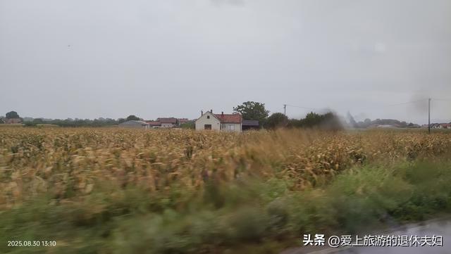 自由行第2天：坐8小时大巴到贝尔格莱德，买不到流量卡，几乎崩溃