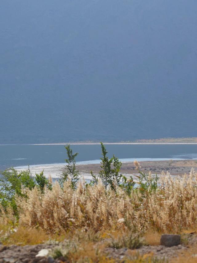如何不“悲秋”？在乌鲁木齐 3 处湿地，放松一点