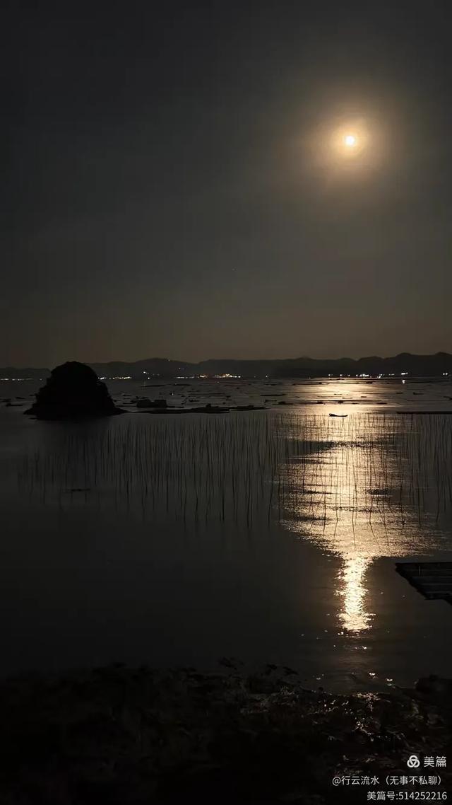 彩色旅图｜光影里的霞浦：滩涂、古树与渔排的诗意时光