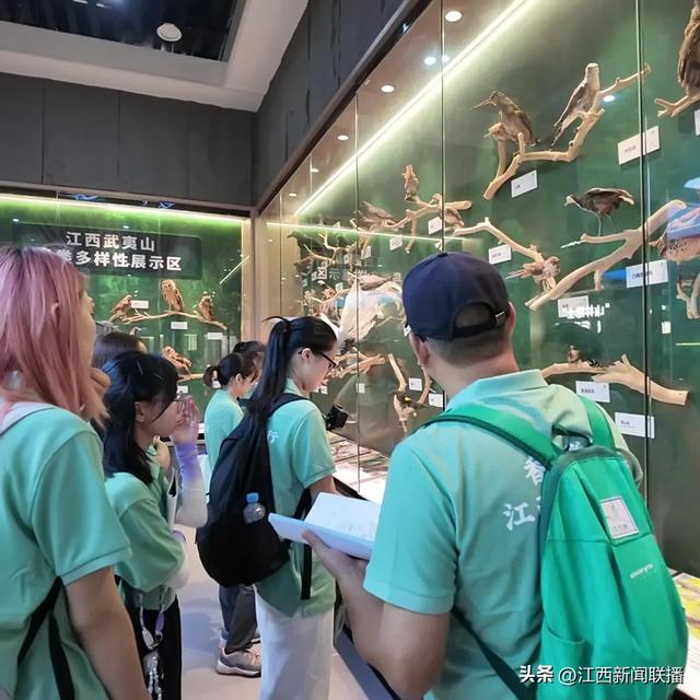 一场跨越山河的青春之约！香港学子在武夷山找到了真正的“金山银山”