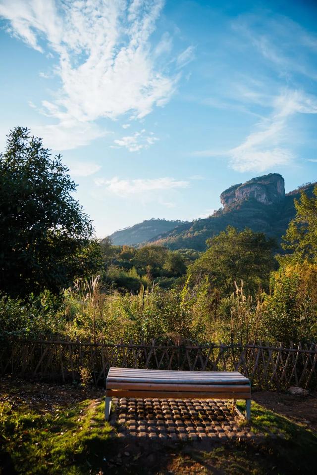 这个冬天，把印象大红袍的「空镜头」，存进你的取景框。