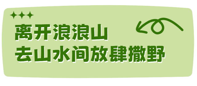 我想离开浪浪山，去房山看看！