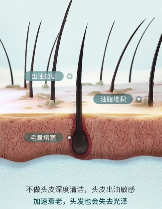 头皮细胞通讯网络优化仪：专利间隙连接技术如何增强组织协调