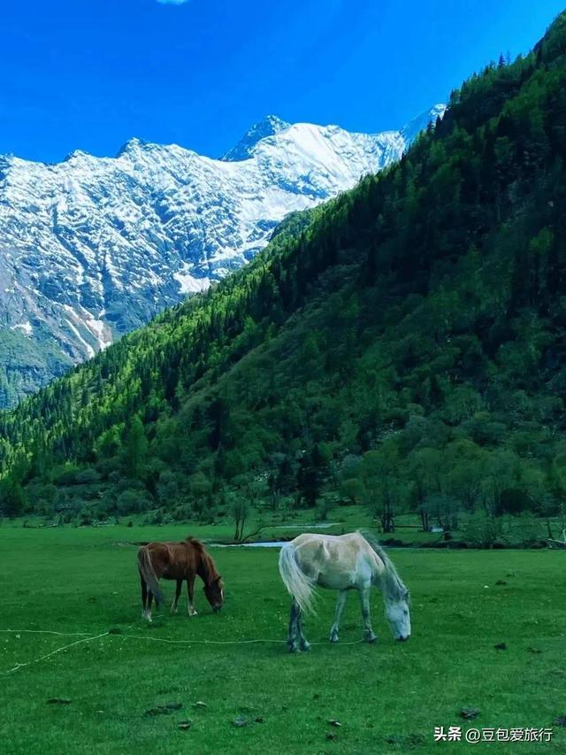 阿坝漫游记：雪山花海与羌寨古寺的十六次心动