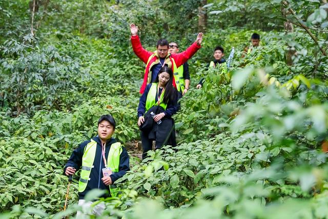 4天3夜极限挑战！荔波茂兰上演企业团队地心穿越巅峰对决