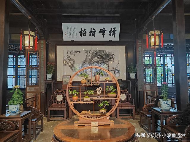 2025苏州狮子林菊展：赴一场比《甄嬛传》存菊堂更盛的秋日菊宴