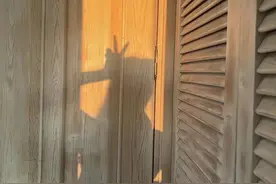 撩到冒泡的骚气小情话图片