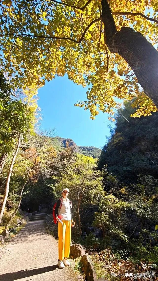 踏秋胜地,天脊龙门!浙江这个4A级景区已美成童话,等你来打卡