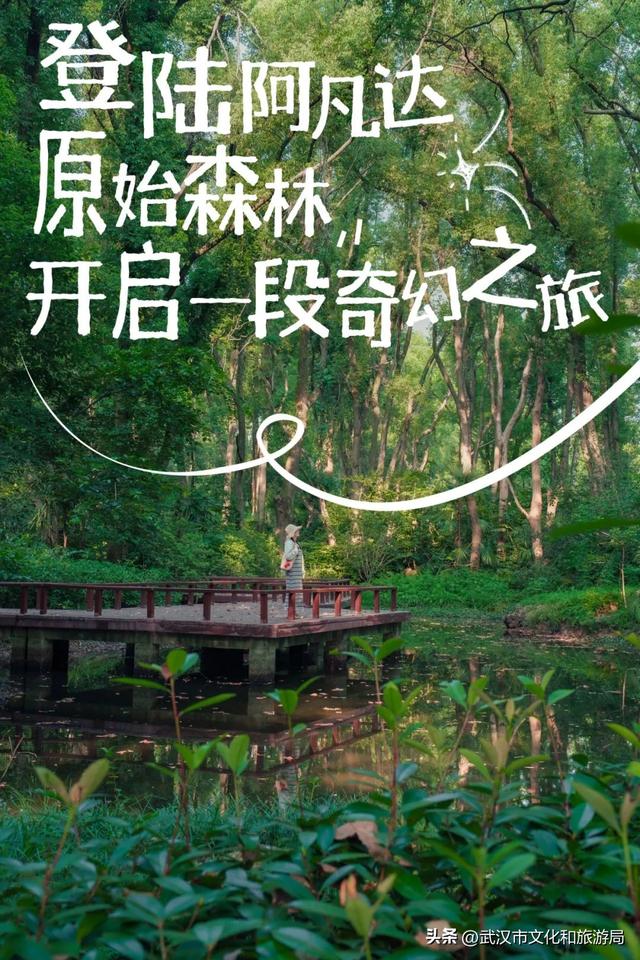 美到不真实！有人知道这是东湖哪里吗？