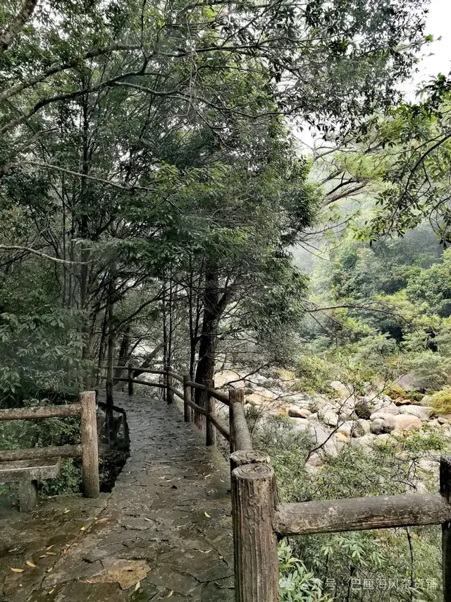 直下高原去海南（2）令人失望的十万大山国家森林公园