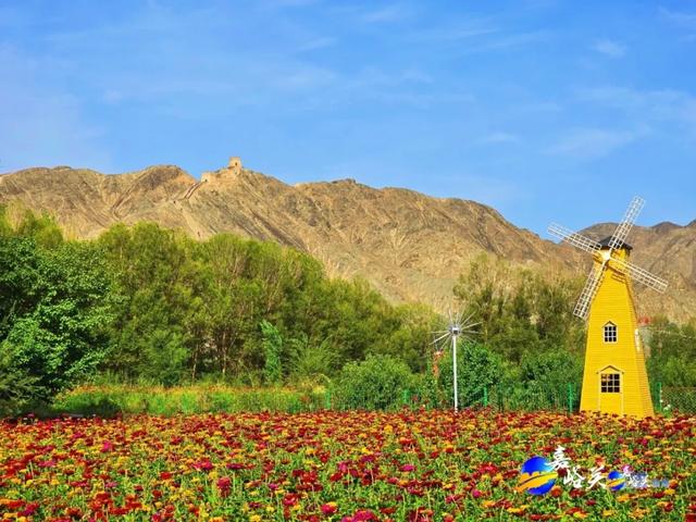 花美人少赶紧去!嘉峪关出现“宝藏级”五彩花海,全网都在追问来源!