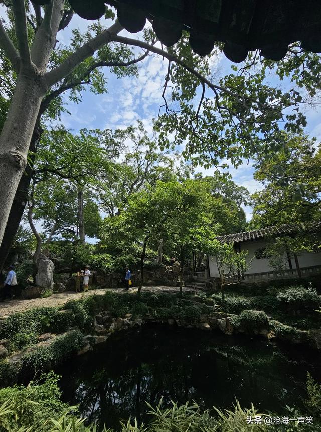 沧浪亭，苏州园林的杰出代表，古老的树木，古老的庭院，深几许?