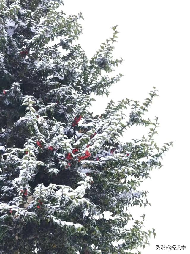 2025年草川子第一场初雪来啦！