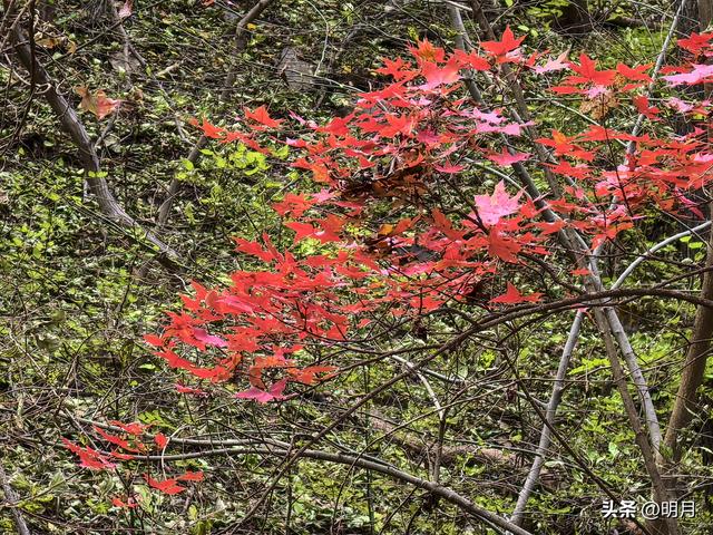 龙洞胜境尤奇崛