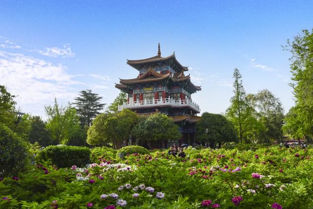 太期待了!接下来的洛阳,是这样的...