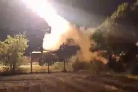 巴基斯坦生猛得很，却又表示……图片