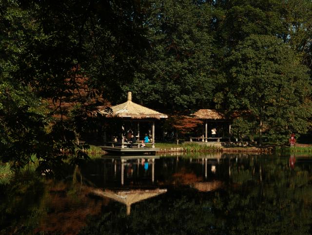 杭州秋日秘境：太子湾与浴鹄湾的红枫水墨画