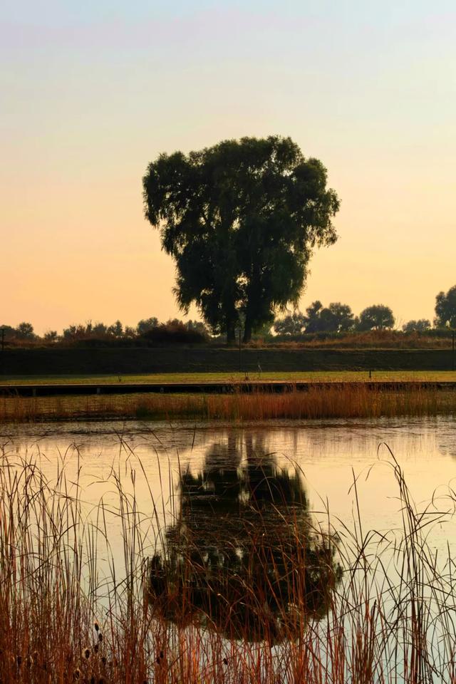 北疆文化 遇鉴赛罕 | 秋色漫卷赛罕:快将秋日打包,赶赴一场赛罕秋约!