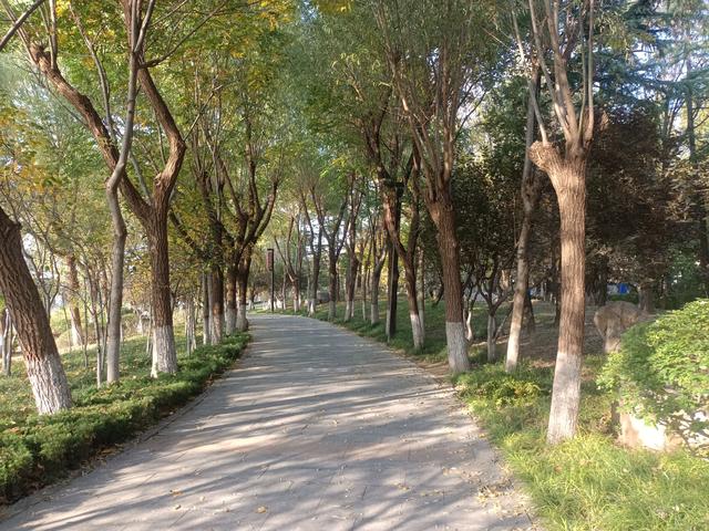 骑行孤独寻心静