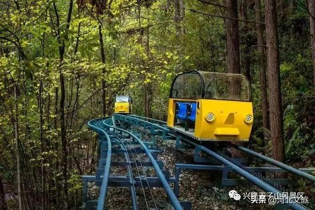 云峰溪谷氧生地，龙脉太宗天子山