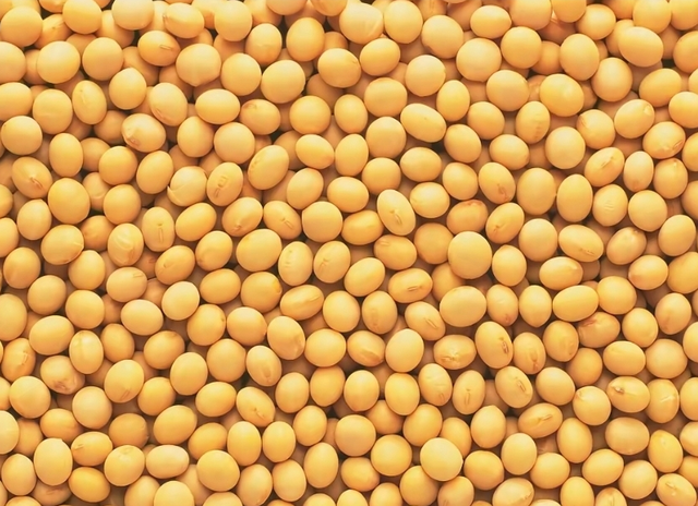 超2800亿大单，特朗普收到大礼！美高官为华发声：中国人说话算数