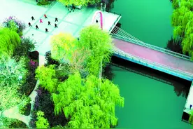 城市更新 为幸福生活“加码”图片