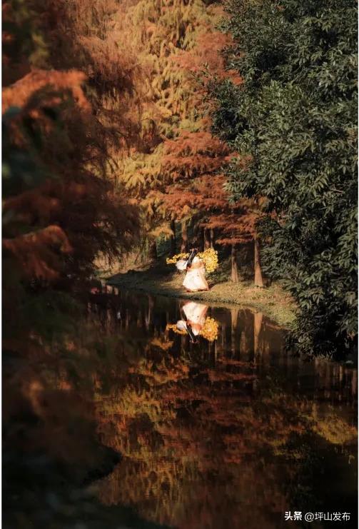 骑遇坪山① | 宝藏“高颜值”骑行线,拍出森系大片刷爆朋友圈