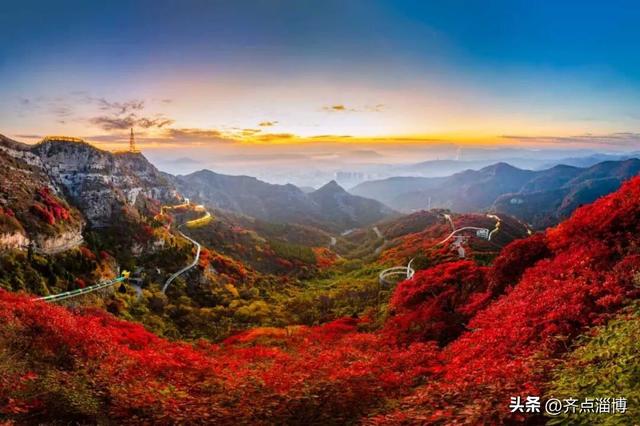 最佳赏红期已至——红叶柿岩开启“全红模式”！
