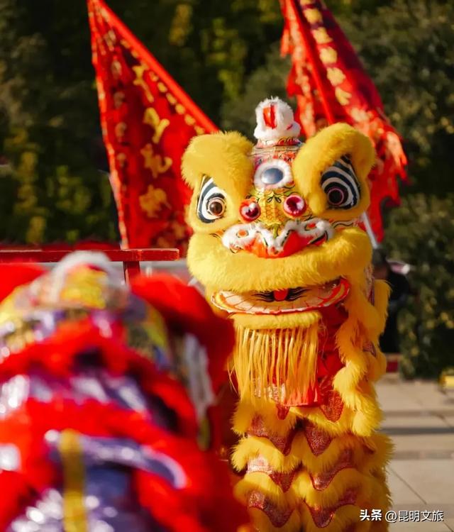 世博园大型灯展！最新剧透来啦