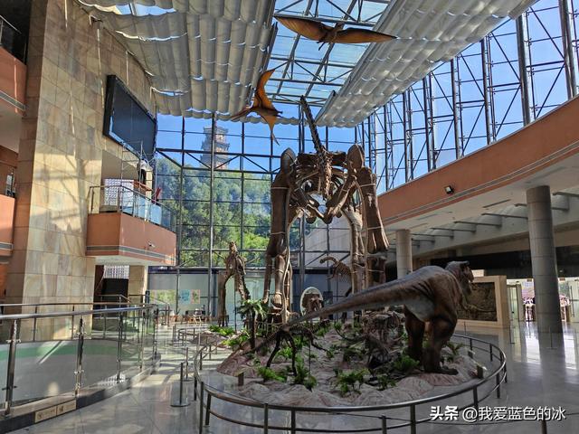 来河源才知道河源是中国恐龙之乡，挖掘出的恐龙蛋超级多