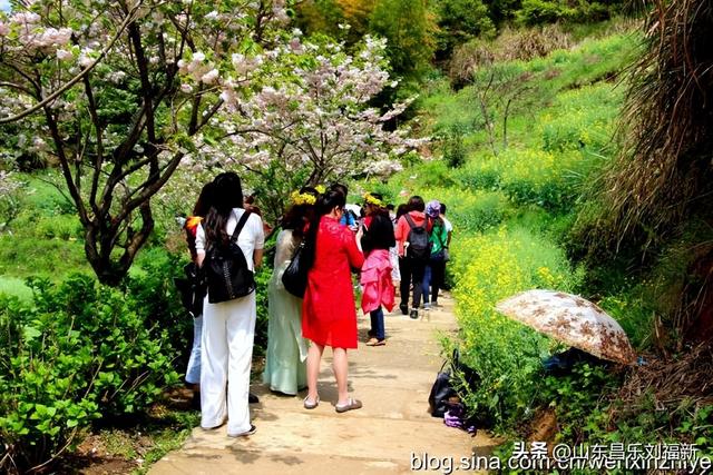 婺源篁岭旅游札记[三]（江西之旅第四十五篇）