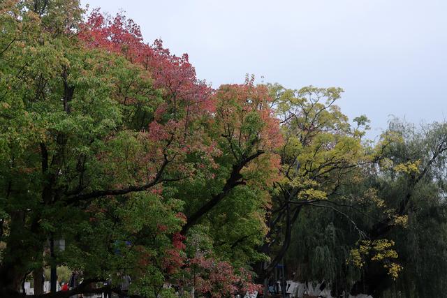 昆明的空中栈道建设是一个极好的构思