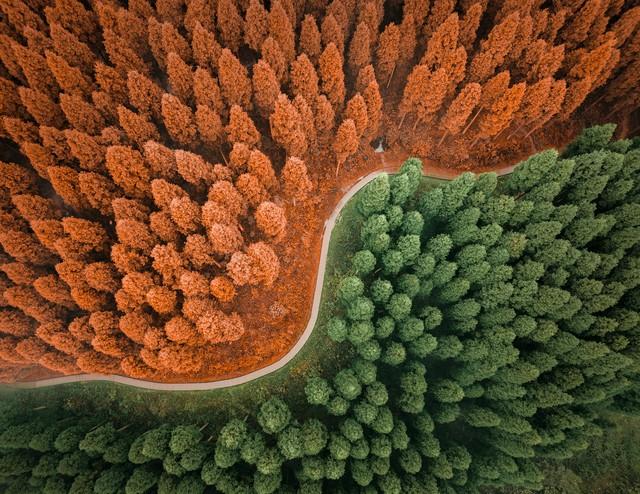 四川真糊涂！这十景点在马克龙访川前，法国人早爱上了她快宣传！