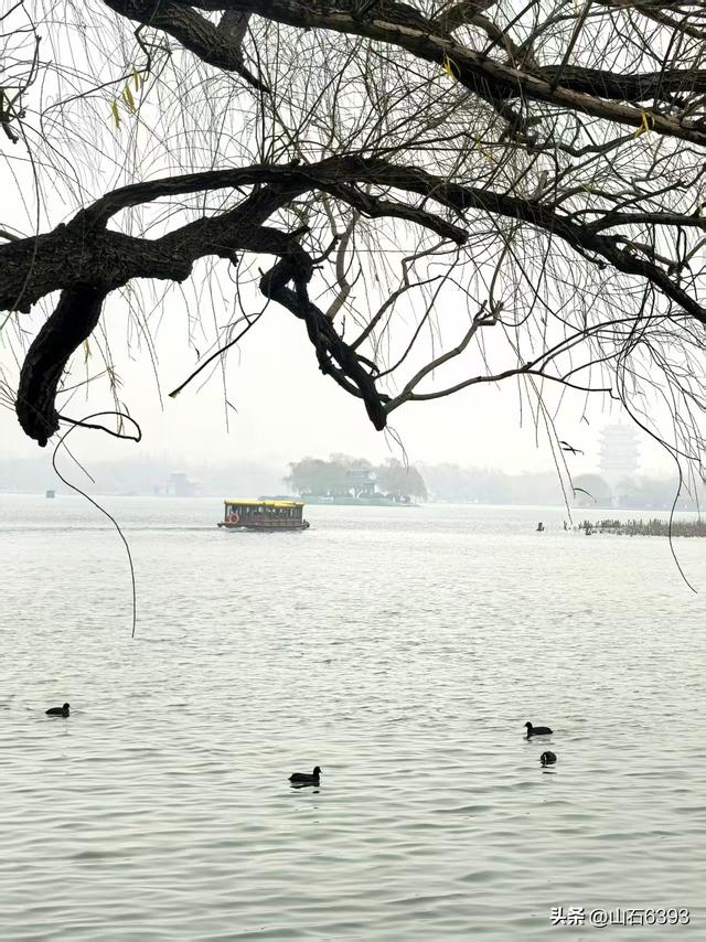 新华社原军事记者陶俊峰泉城美拍：《冬雾中的大明湖》