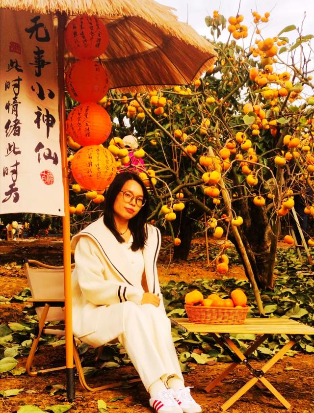 桂林：不入柿园，怎知秋色几许！