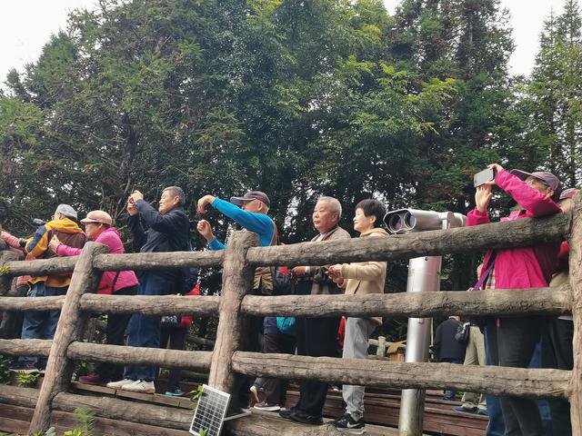 元阳梯田哈尼徽：稻作文化彝族曲 不朽诗篇底蕴谱