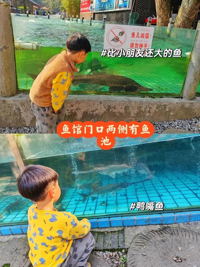 长沙5条亲子徒步“小秘境”路线，带娃坚持每周一山→