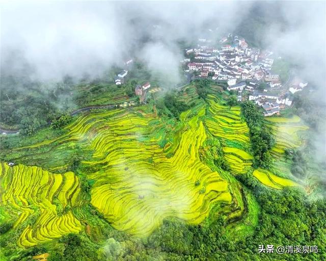 藏在深山中的“丰”景诗——九峰溪下寻秋记