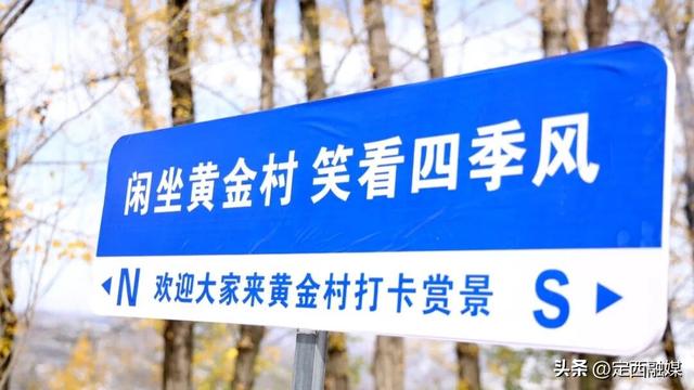 李家堡镇：白杨金黄引客来 志愿服务 + 电商直播添活力