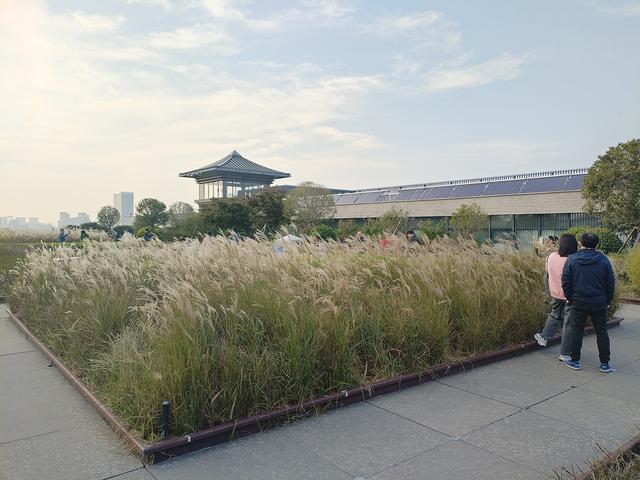 2025秋游：中国大运河博物馆 . 夜游扬州