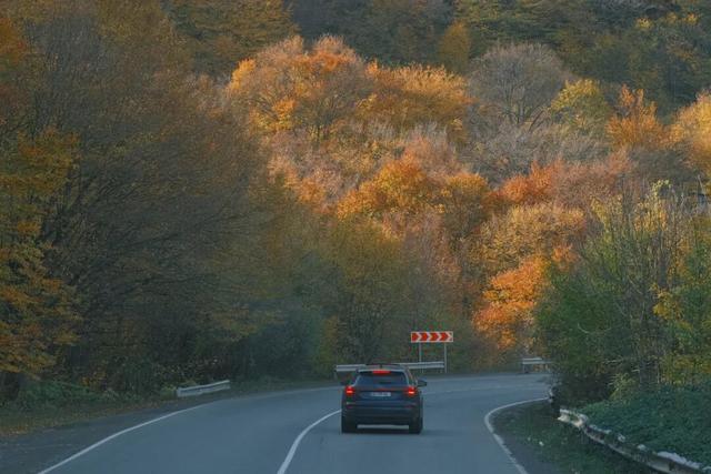 格鲁吉亚，除了代孕还有啥？